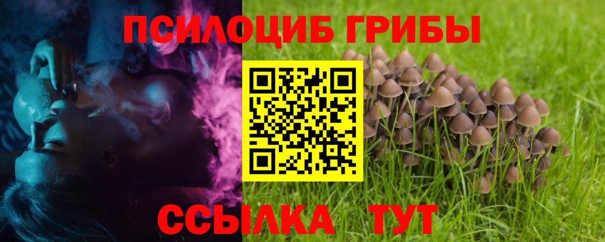 Галлюциногенные грибы Cubensis Гусь-Хрустальный